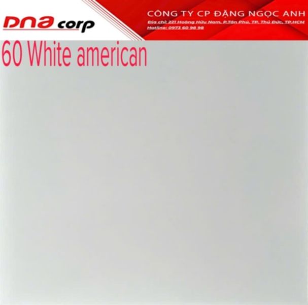 60*60 White American Gạch lát nền đá trắng mờ (T=4V=1.44M)
