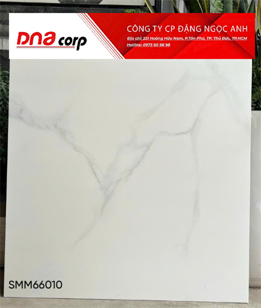 60x60 SMM66010 gạch lát nền, gạch lát nền, vân đá Marble, Men matt mịn ( T4v=1.44m)
