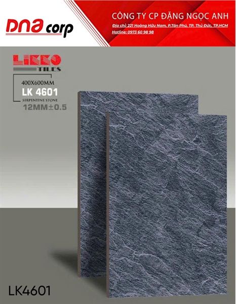 Gạch lát nền Đá LK4601 Mikado 40*60 (T5v/1.2m)