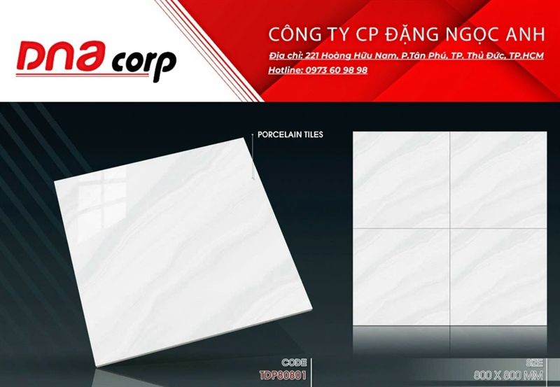 80*80 TDP80801 Gạch lát nền bóng kiếng Pancera
