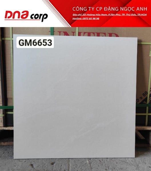 60*60 GM6653 Gạch đá lát nền (1.44m/4v/th)
