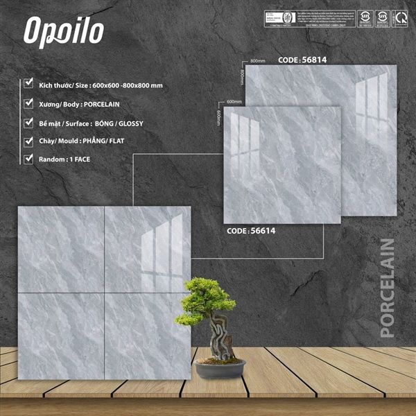 80*80 56814 Vitto NT ( T=3v=1,92m )