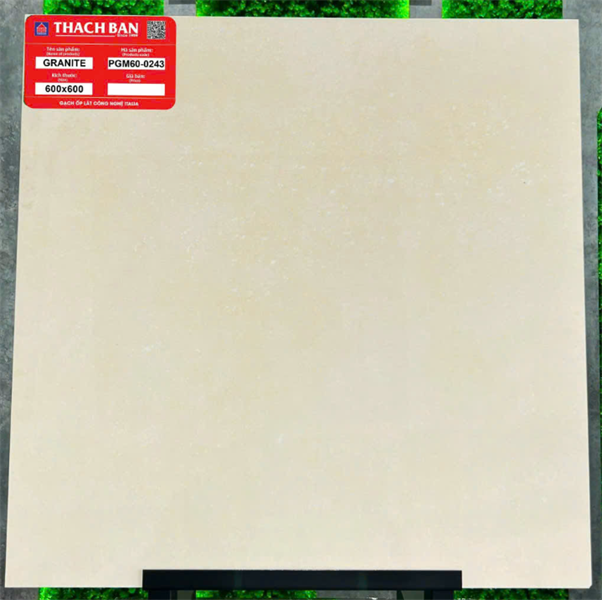 60*60 PGM60-0243 Gạch lát nền đá mờ Thạch Bàn