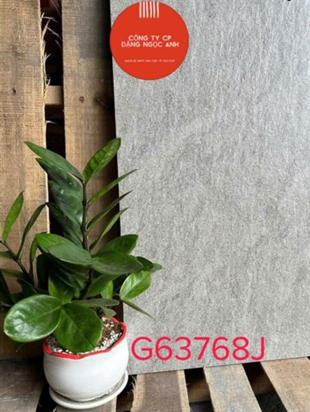 30*60 G63768J Gạch lát nền đá mờ Taicera ( T=8V=1.44M )