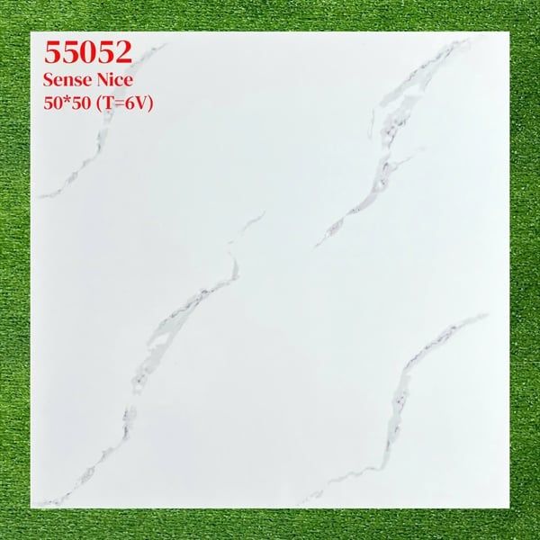 gạch 50*50 55052 th6v/1.4m