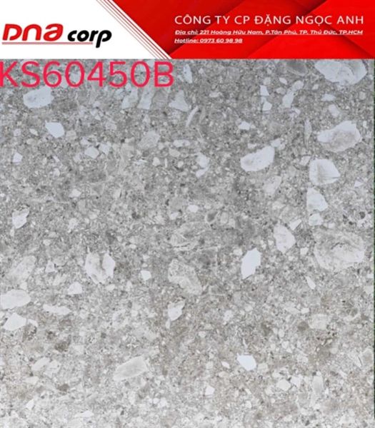60*60 KS60450B Gạch lát nền đá mờ ( T=4V=1.44M )