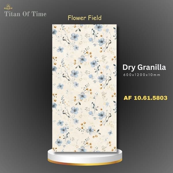 AF10.61.5803 Kích thước: 60x120cm 🔹 Bề mặt: Dry Granilla – Rải hạt bóng cao cấp 🔹 Độ dày: 10mm