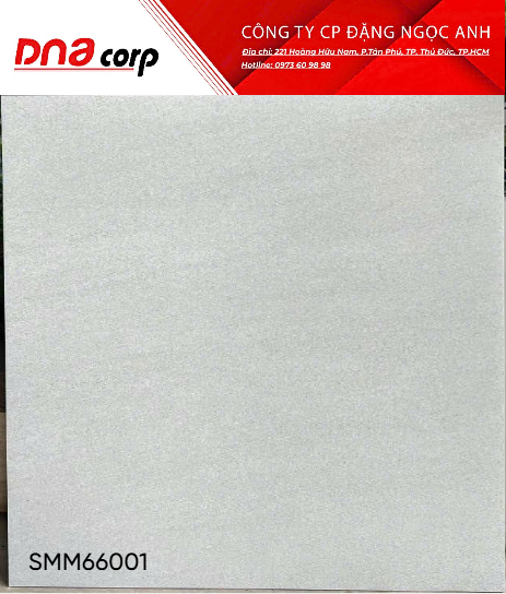 60x60 SMM66001 gạch lát nền vân cát, bề mặt Men matt mịn (T4v=1.44m)