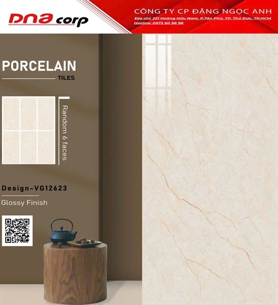 60*120 VG12623 Gạch ốp lát cao cấp Ấn Độ (T=2V=1.44M)