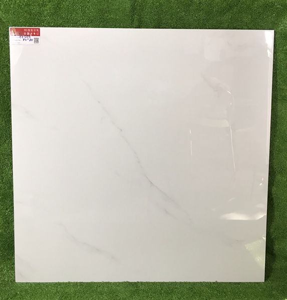 80*80 17500OV prime 3v/1.92m/th A1