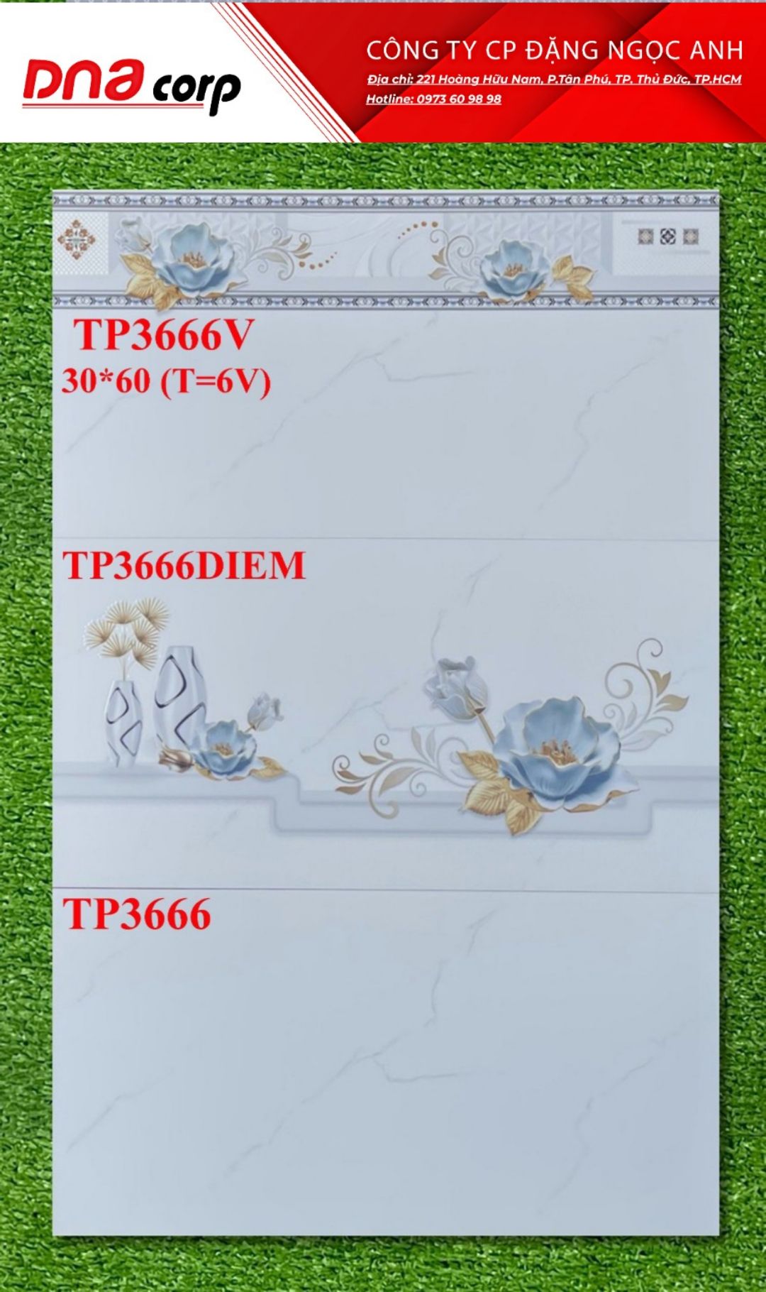 Gạch ốp tường 30*60 Ceradoni TP3666V-TP3666DIEM-TP3666