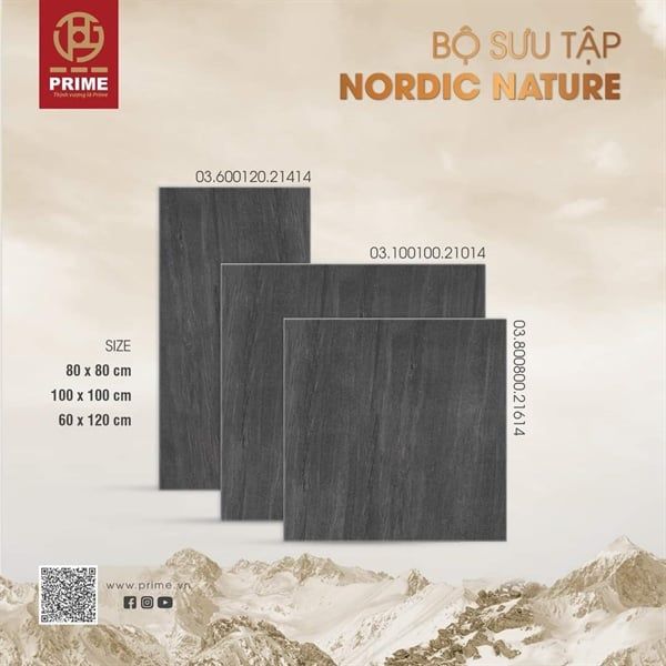 100*100 21014 Gạch lát nền đá bóng kính Prime