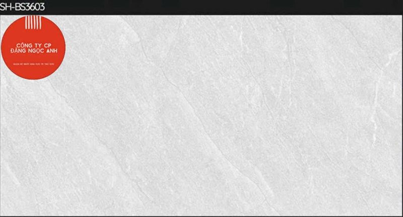 30*60 BS3603 Gạch ốp lát đá mờ Viglacera HTP