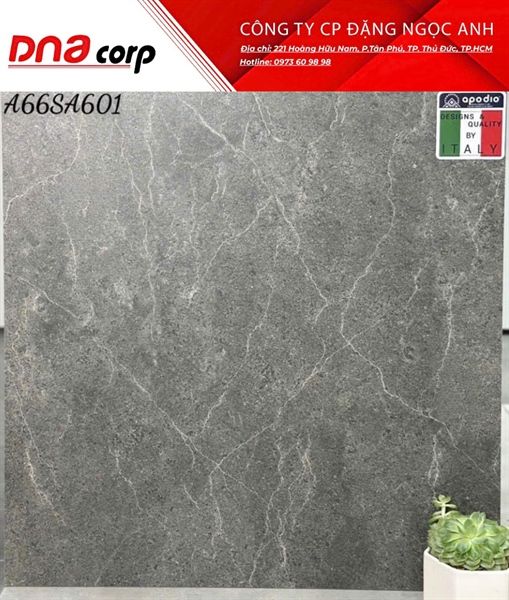60x60 SA601 gạch lát nền ốp tường Apodio (T4v/1.44m²)