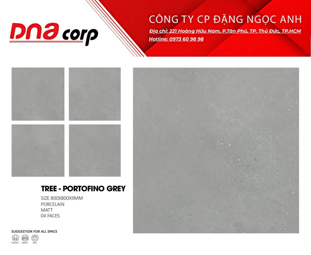  Gạch lát nền 80*80 Ấn Độ TREE - PORTOFINO GREY 