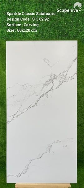 60*120 SG6218 Gạch ốp lát cao cấp Ấn Độ Đá Bóng (1..44m/2v/th)