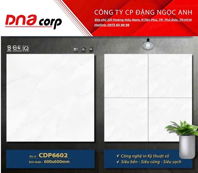 Gạch lát nền đá bán sứ CDP6602 Mikado 60*60 (T4v/1.44)