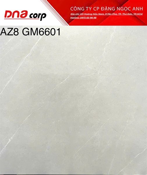 60*60 AZ8 GM6601 Gạch lát nền đá mờ (T=4V=1.44M)