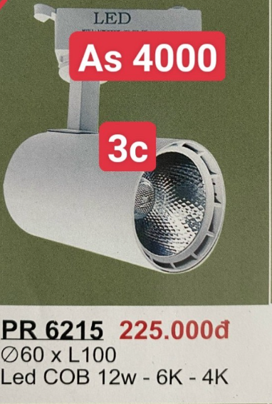 Đèn leb ray PR6215