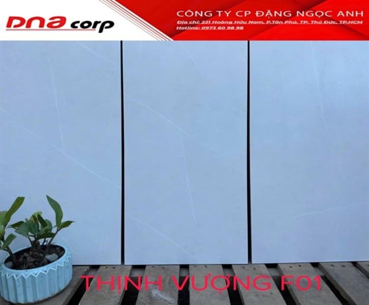 30*60 Thịnh Vượng F01 Gạch lát nền đá mờ ( T=8V=1.44M )