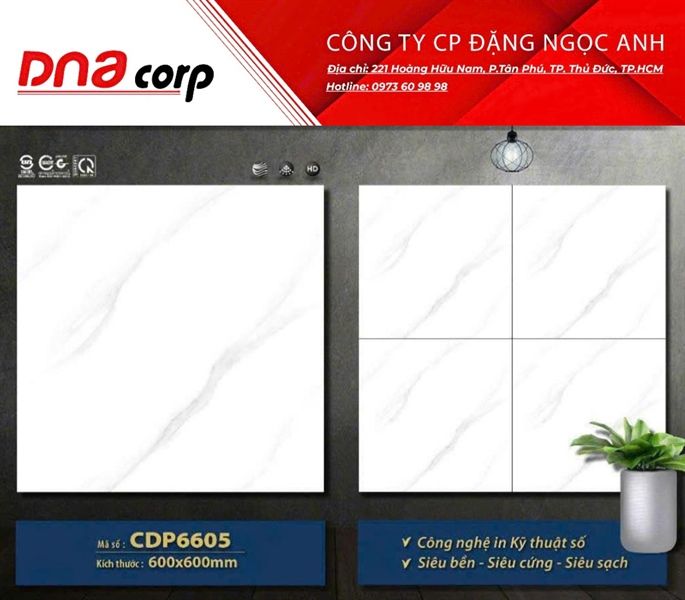 Gạch lát nền đá bán sứ CDP6605 Mikado 60*60 (T4v/1.44)