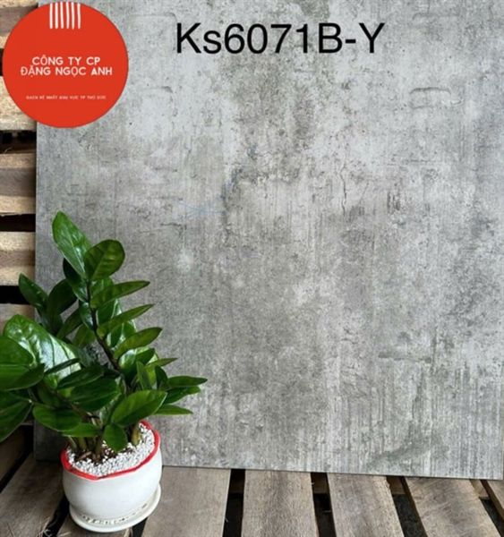 60*60 G68034 Gạch lát nền đá mờ Taicera ( T=4V=1.44M )