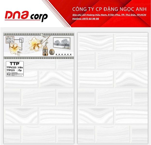 TTPV225 Gạch ốp tường thân (Thùng10v)
