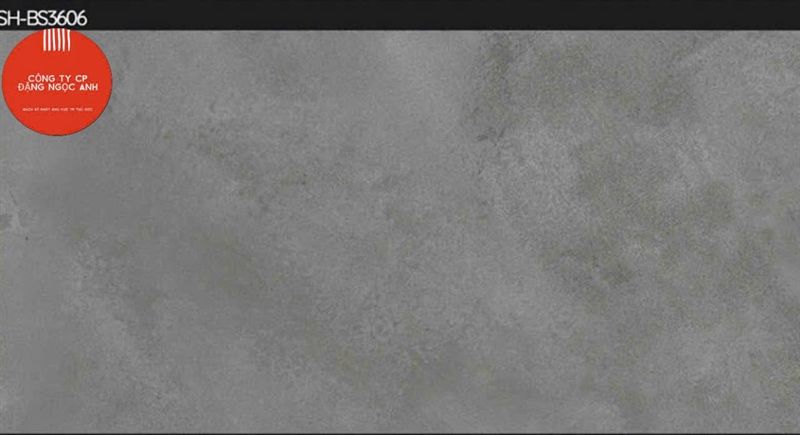 30*60 BS3606 Gạch ốp lát đá mờ Viglacera HTP