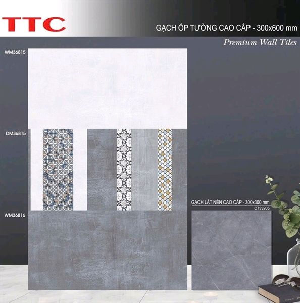 mờ 30x60 ttc wm3615