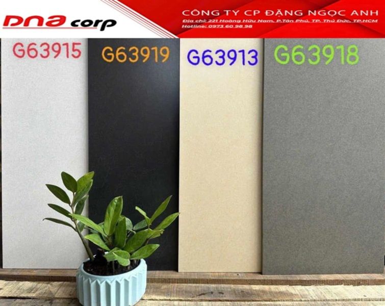 30*60 G63913 Gạch lát nền đá mờ Taicera ( T=8V=1.44M )