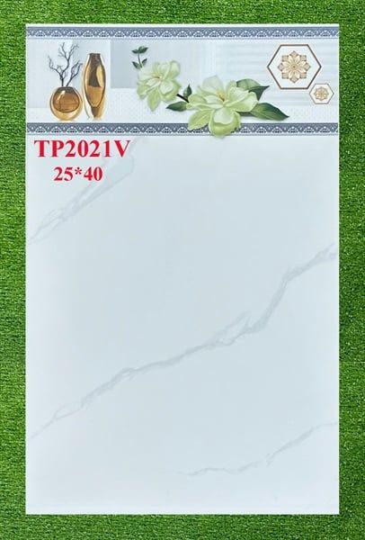 25*40 TP2021 Gạch ốp tường men bóng Thân (T=10V=1M)