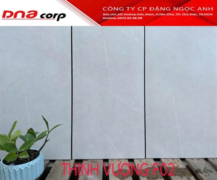 30*60 Thịnh Vượng F02 Gạch lát nền đá mờ ( T=8V=1.44M )
