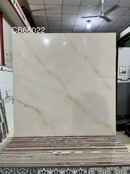 60*60 CB66022 Gạch lát nền men (1.44m/4v/th)