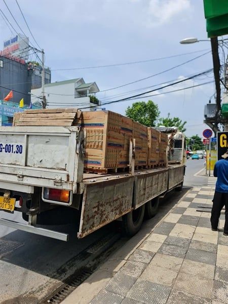 30*60 RM3601D2 Gạch ốp tường Đậm (men mờ) royal th/6v/1.08m