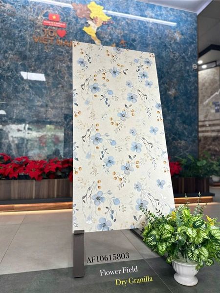 AF10.61.5803 Kích thước: 60x120cm 🔹 Bề mặt: Dry Granilla – Rải hạt bóng cao cấp 🔹 Độ dày: 10mm