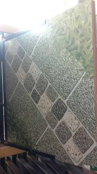 50*50 BD 1951 Sân vườn