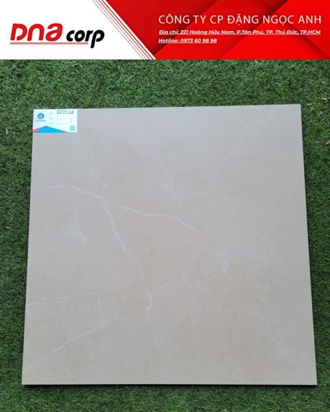 60*60 MDK662018 Gạch đá lát nền Viglacera (1.44m/4v/th)