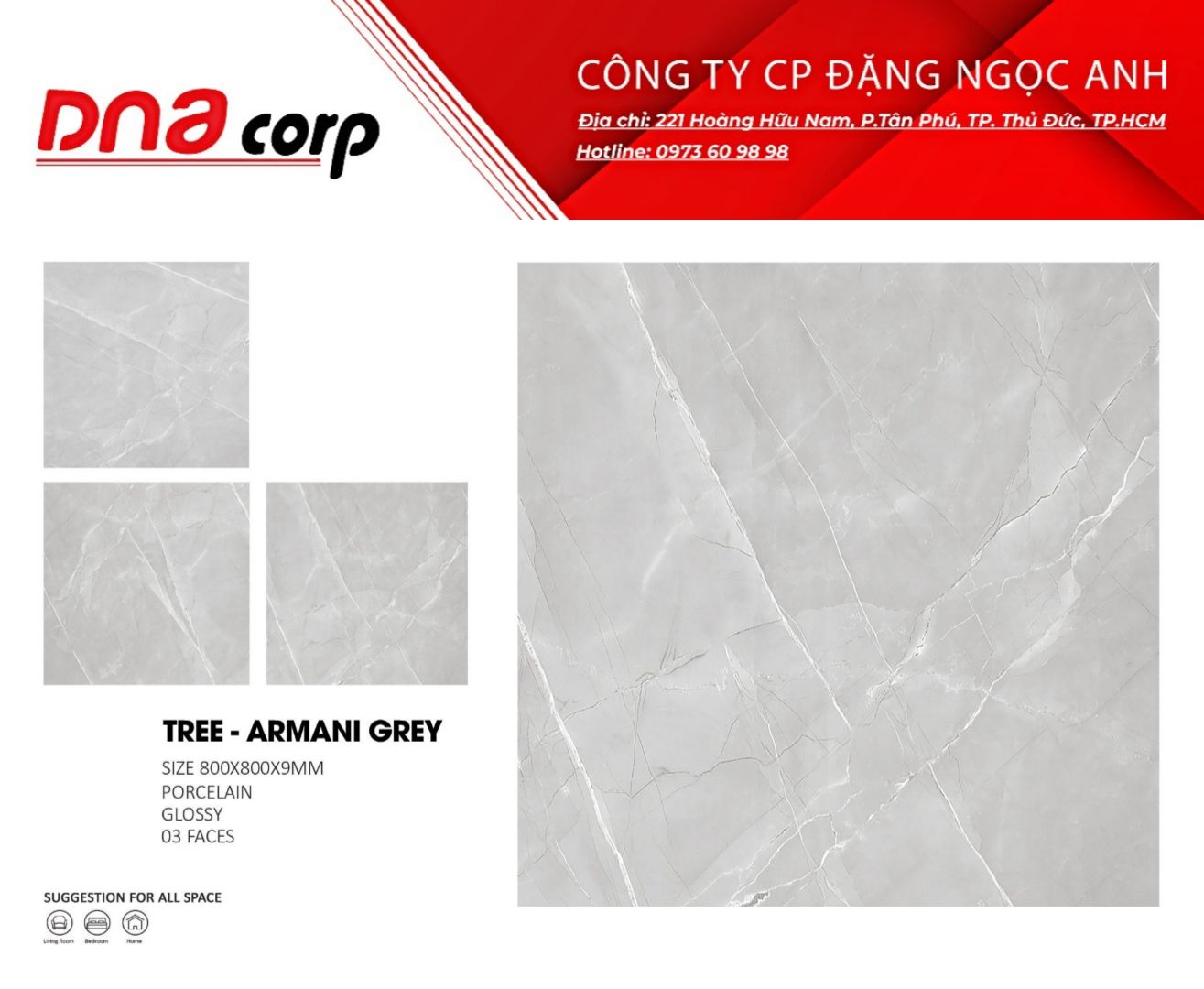  Gạch lát nền 80*80  Ấn Độ TREE - ARMANI GREY 