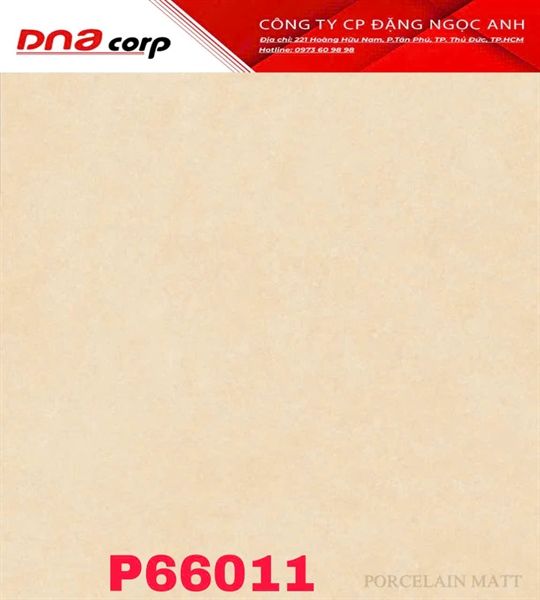 60*60 P66011 Gách lát nền đá mờ (1.44m/4v/th)