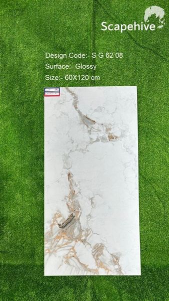 60*120 SG6208 Gạch ốp lát cao cấp Ấn Độ (T=2V=1.44M)