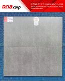  gạch lát sàn nhà 30*30 20006 