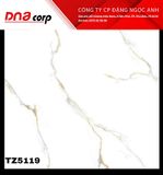  Gạch lát nền 30*60 TZ5119 