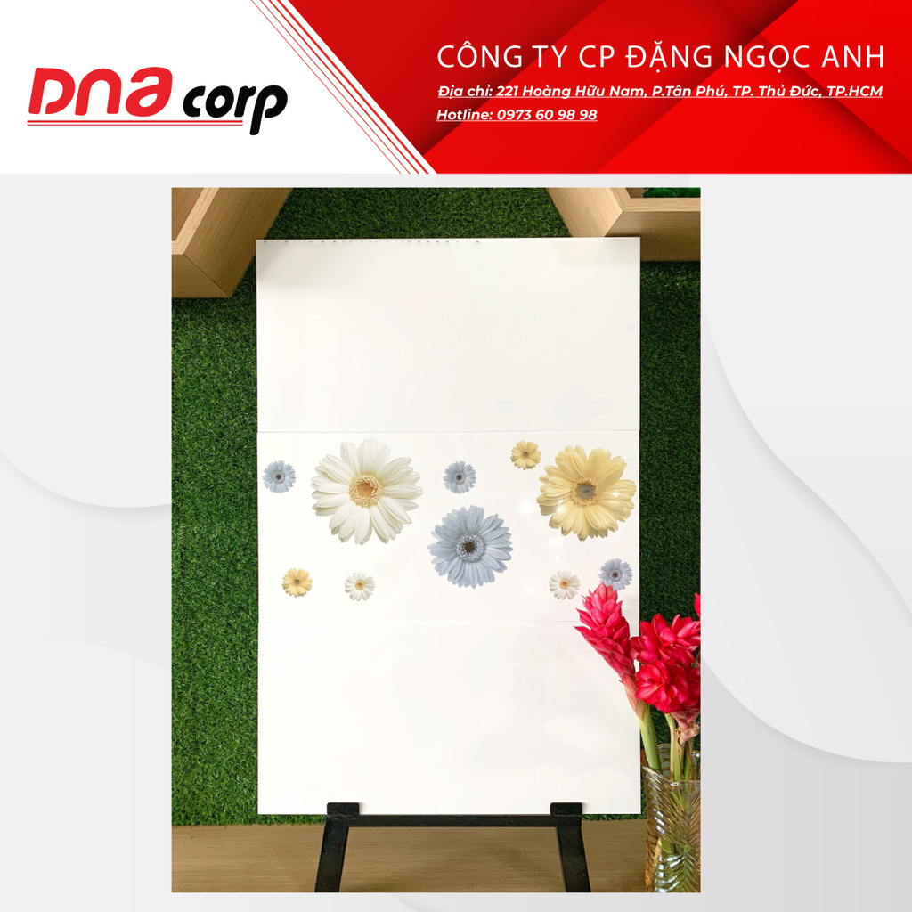 GẠCH ỐP TƯỜNG SHIJAR LN36600A+C