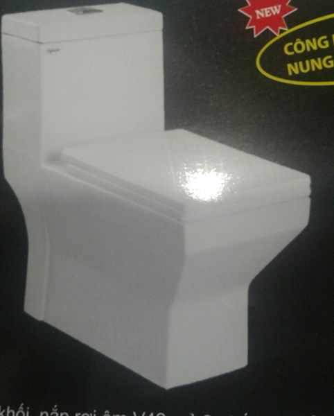 câu khôi viglacera