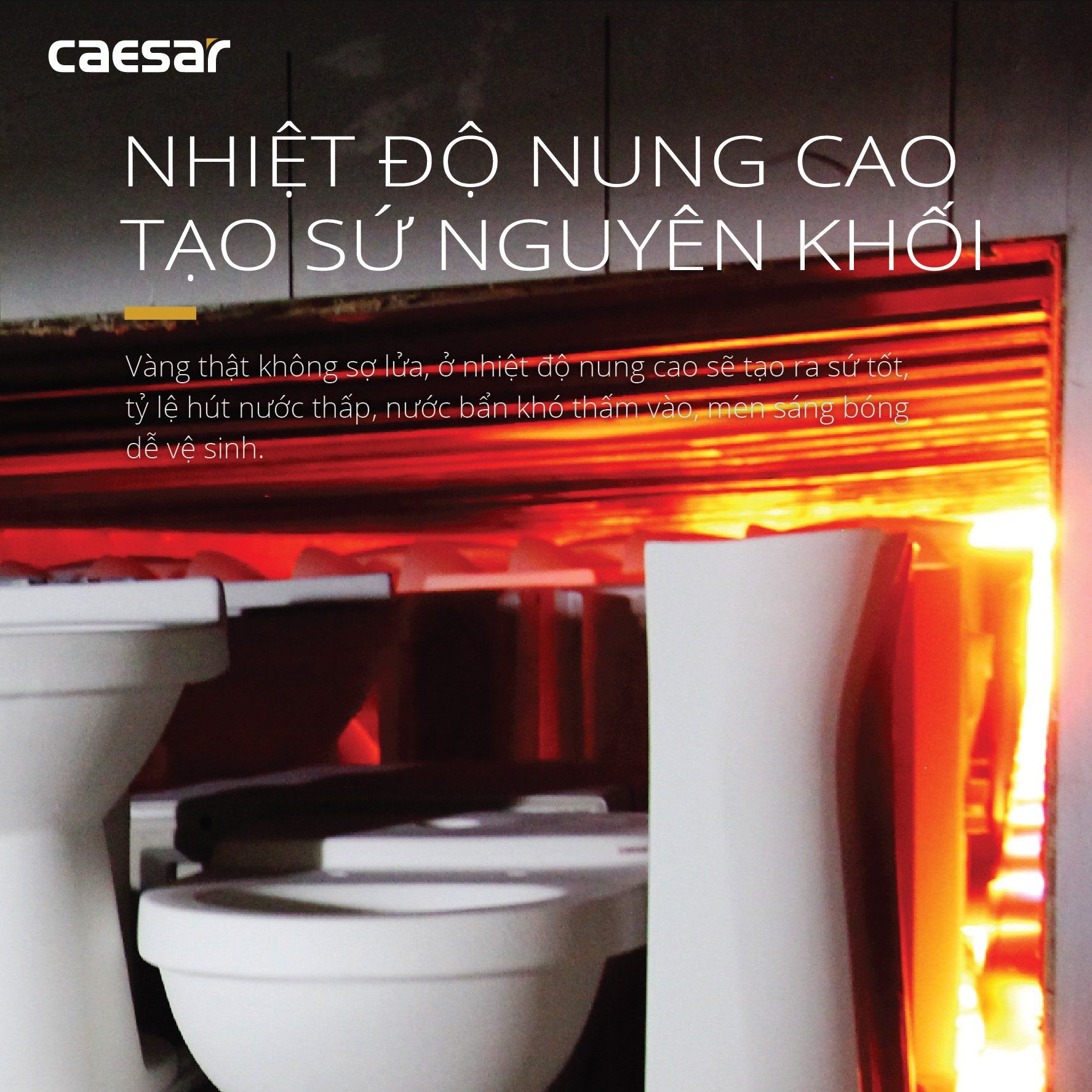  Bàn cầu một khối CD1364 