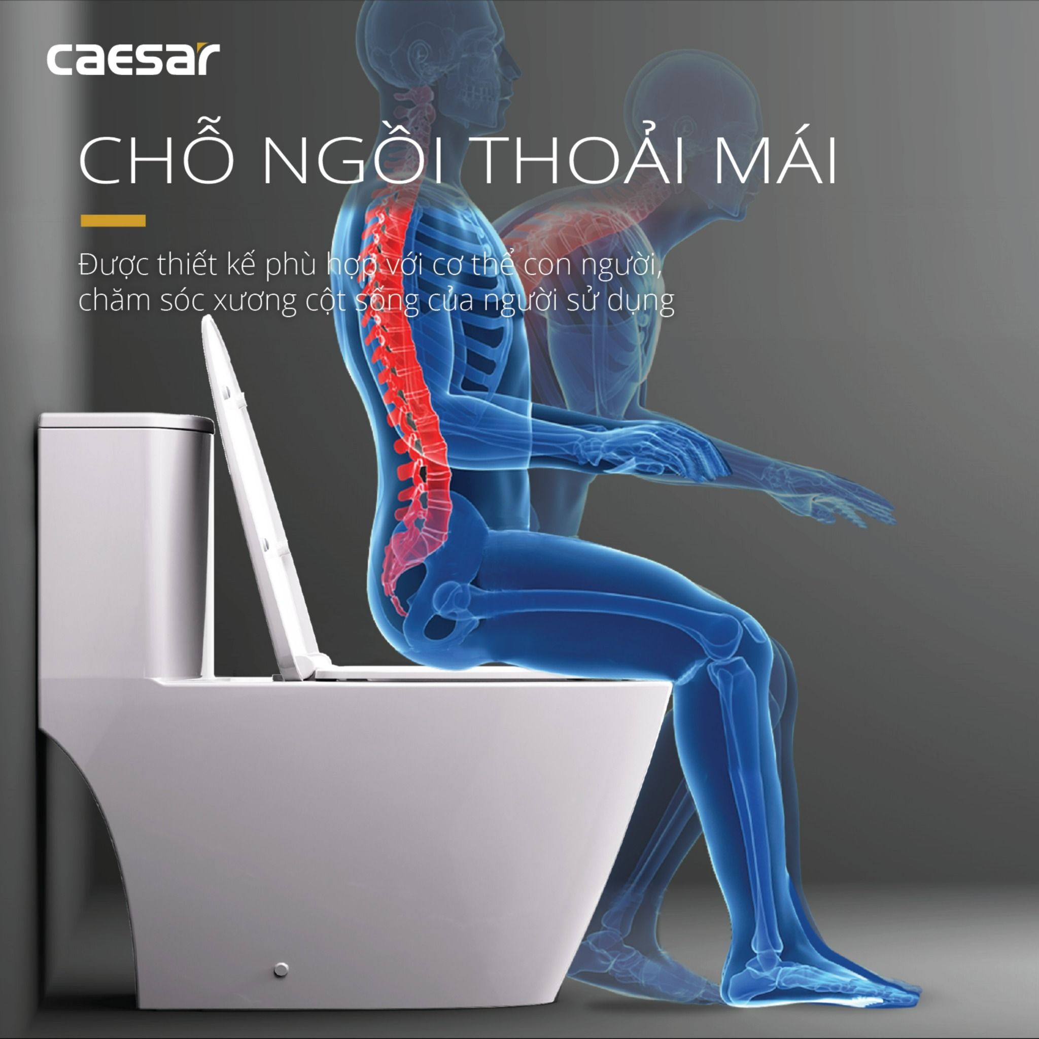  Bàn cầu một khối CD1363 