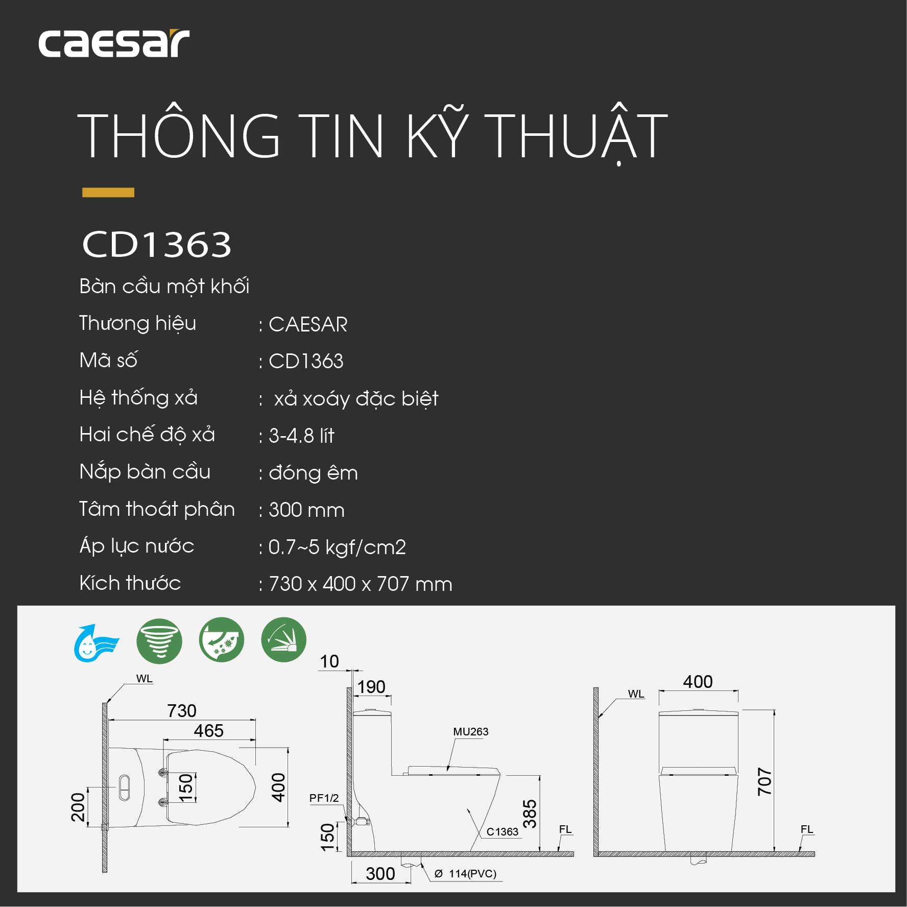  Bàn cầu một khối CD1363 