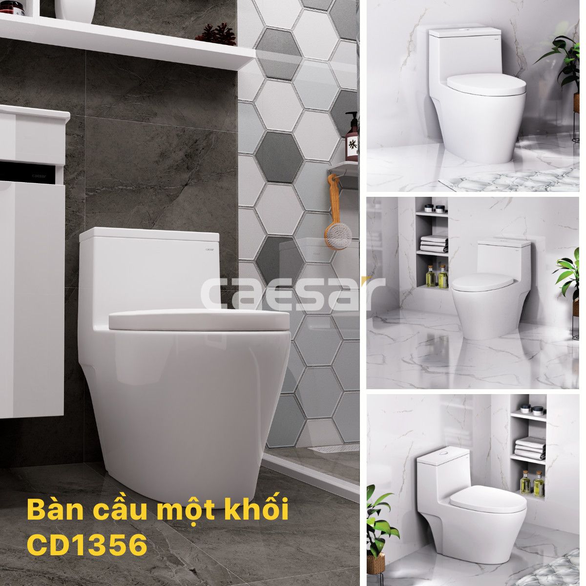  Bàn cầu một khối CD1356 