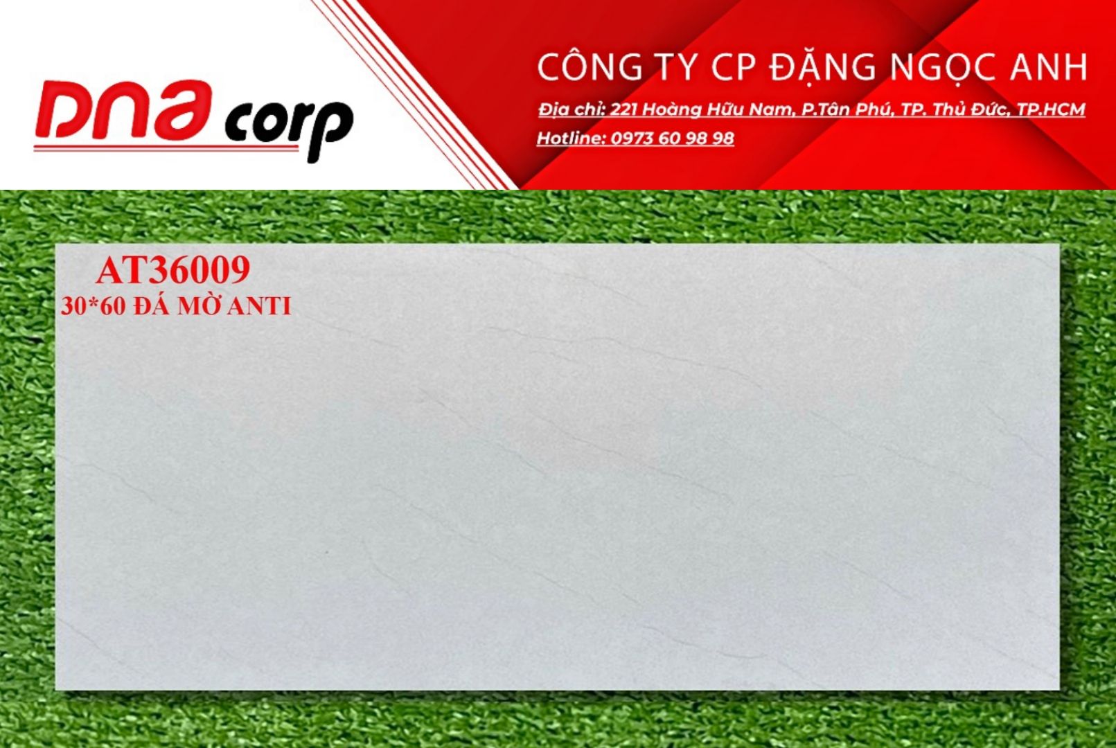 Gạch lát nền 30*60 Viglacera AT36009