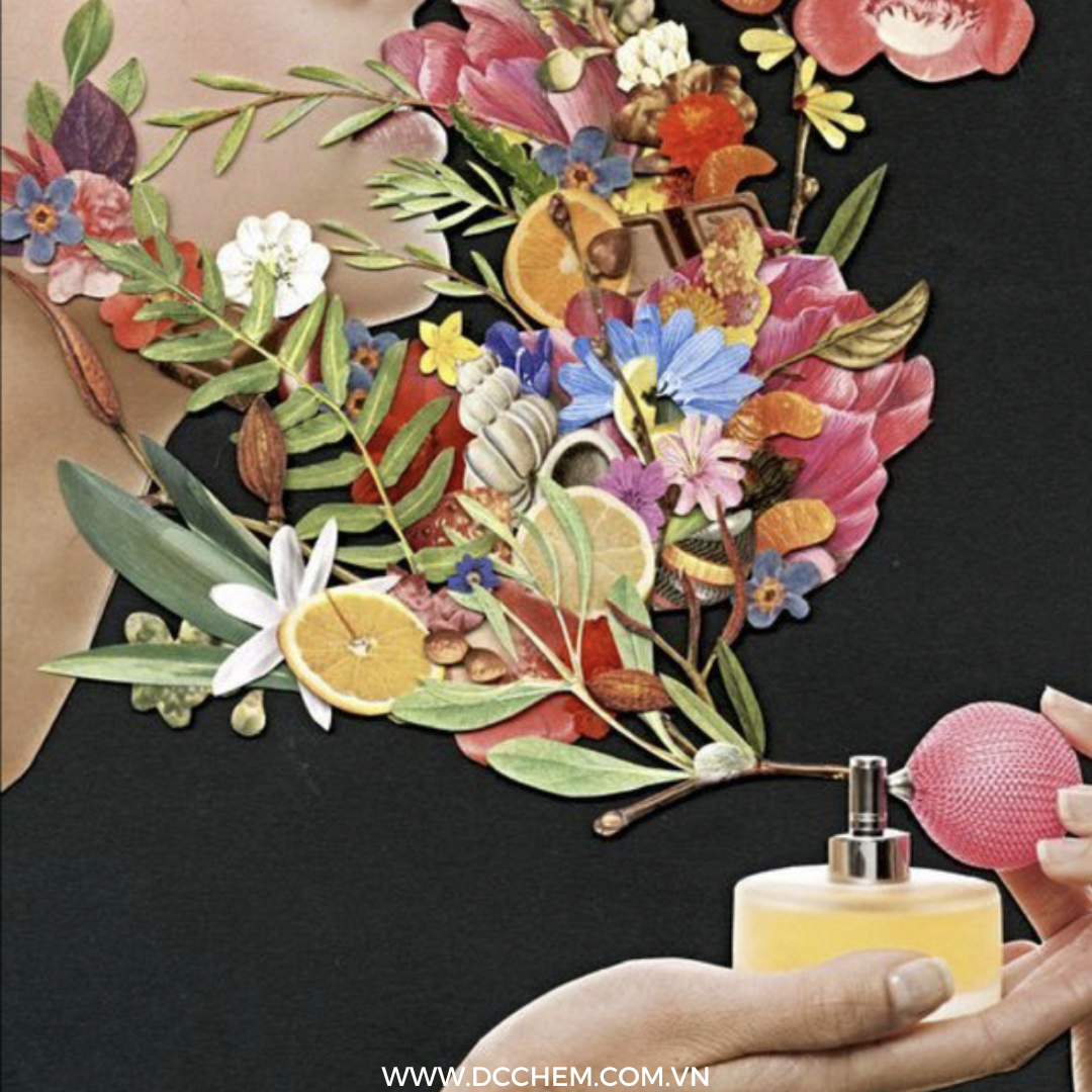 Hương nước hoa - Hương liệu Fragrances
